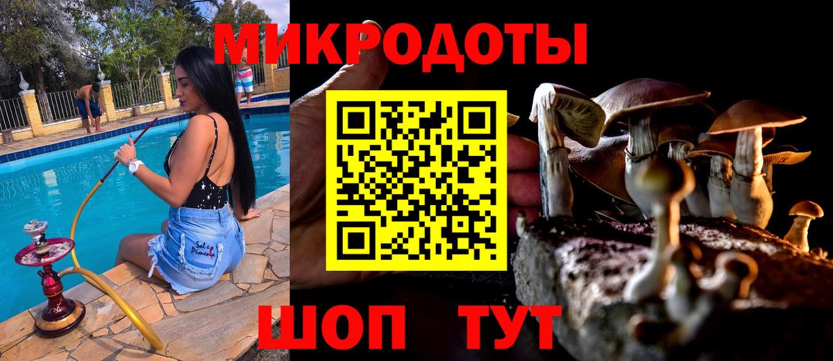 Псилоцибиновые грибы Magic Shrooms  Вход с VPN  Киселёвск 